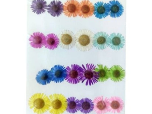 24 in 1 Multi Pressed Dry Small Flowers
