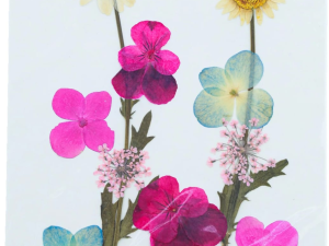 10 in 1 Pressed Flowers DF1022
