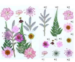 15 in 1 Pressed Flowers