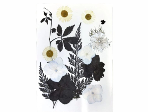 18 in 1 Pressed Flowers DF169