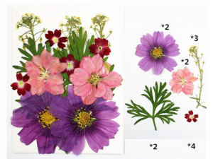 15 in 1 Pressed Flowers DF1034