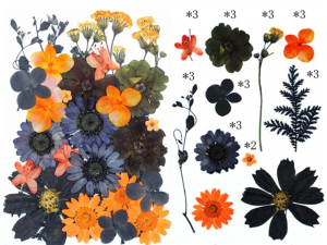 30 in 1 Pressed Flowers DF181